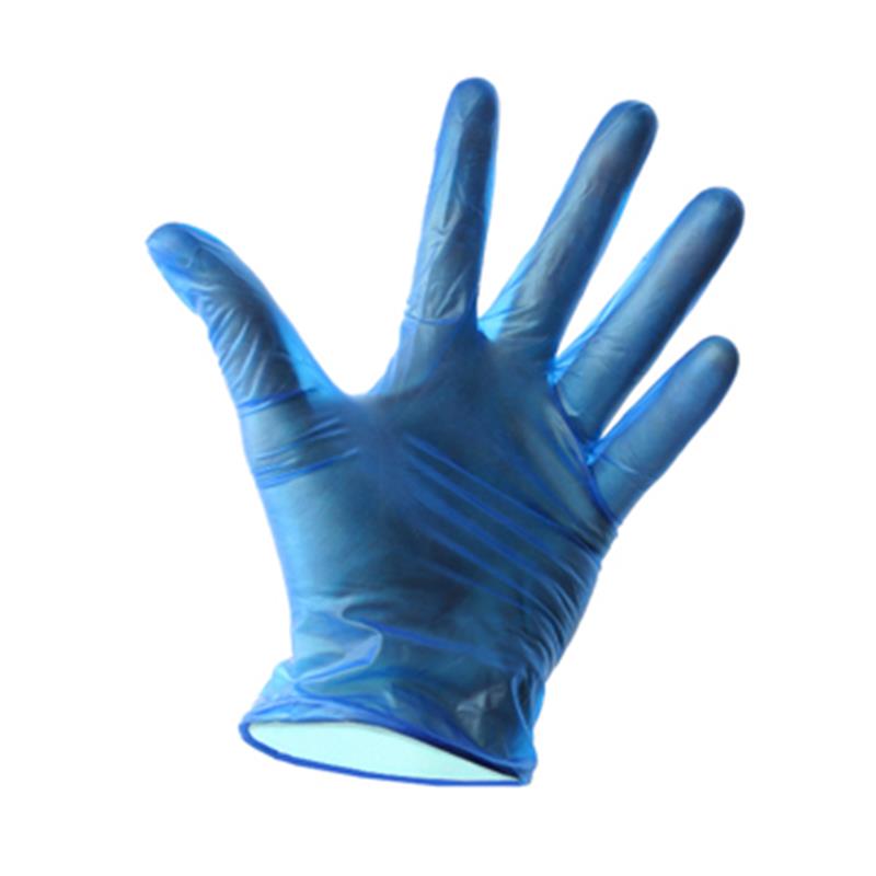 Blue Lightly Powdered Vinyl Gloves Lrg (100)